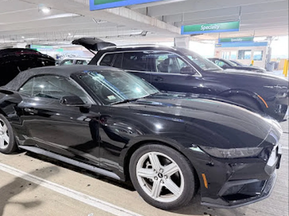 Alamo Rent A Car