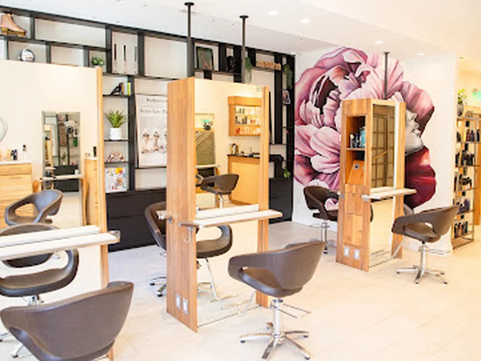 Alexander Safar Salon