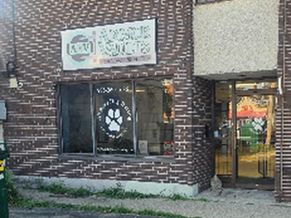 All Paws Dog Training
