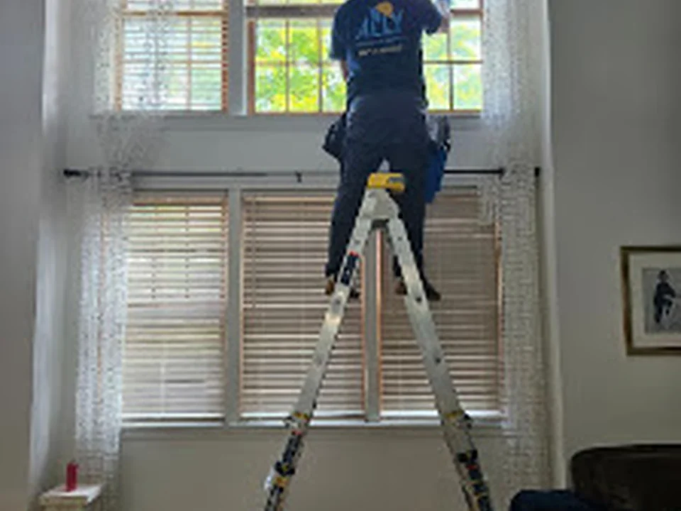 Ally Window Cleaning