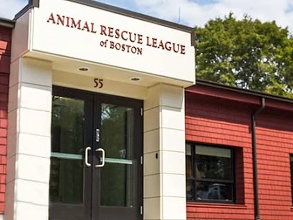 Animal Rescue League of Boston - Dedham Branch
