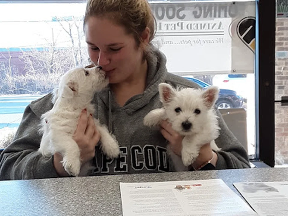 Animed Pet Hospital
