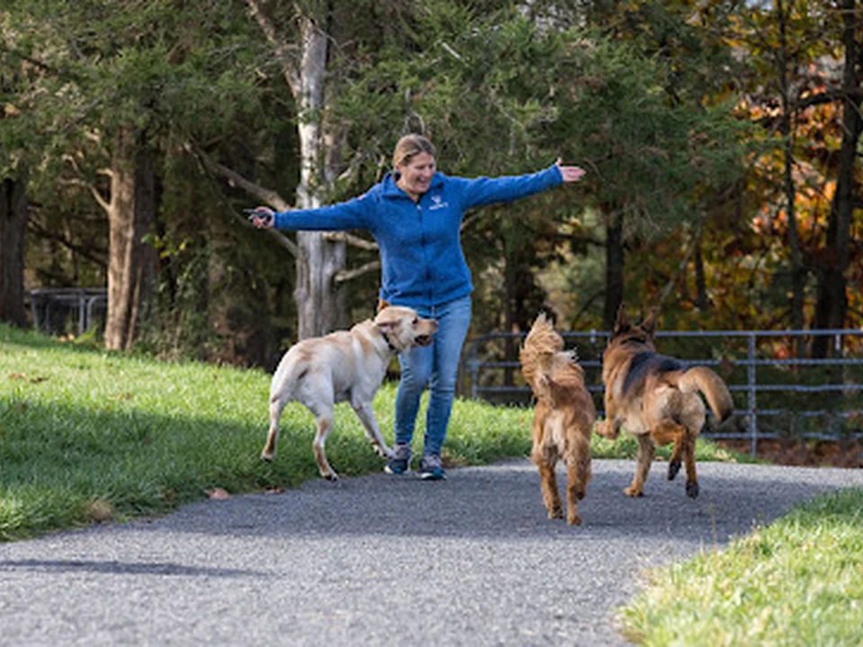 Atlantic K9 Training LLC