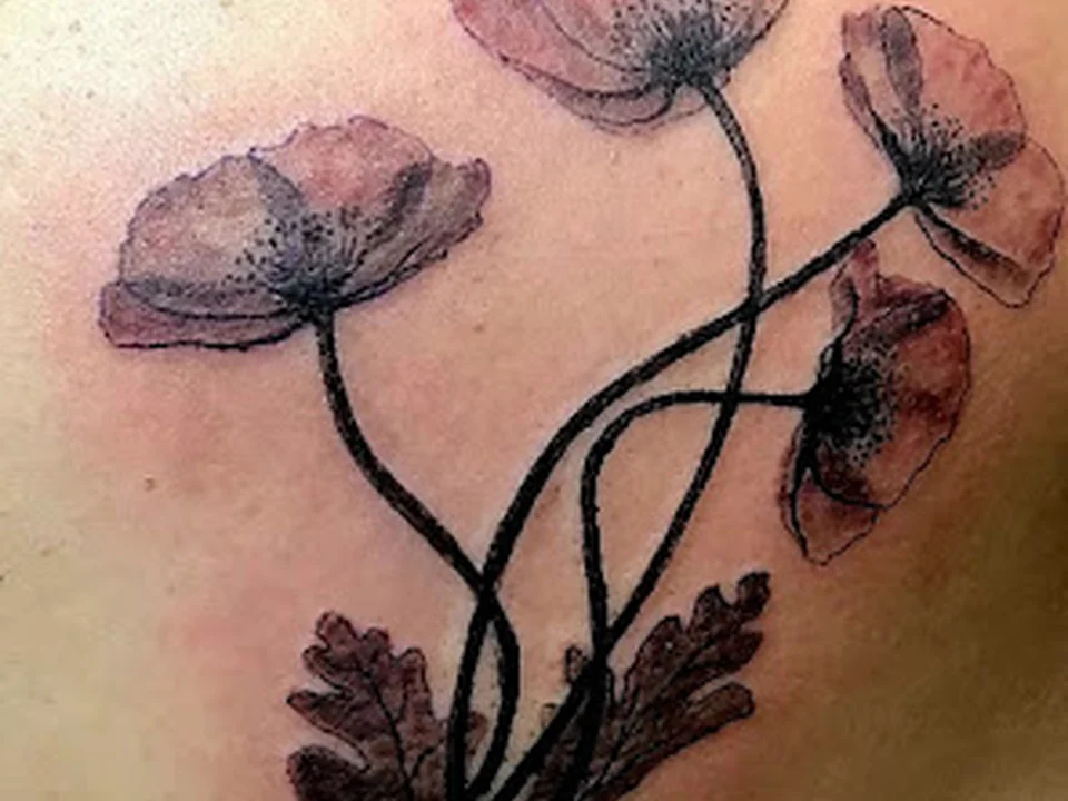 Beauty and Ink Studios
