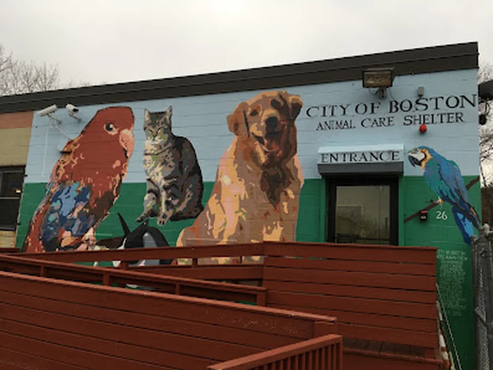Boston Animal Care and Control Shelter