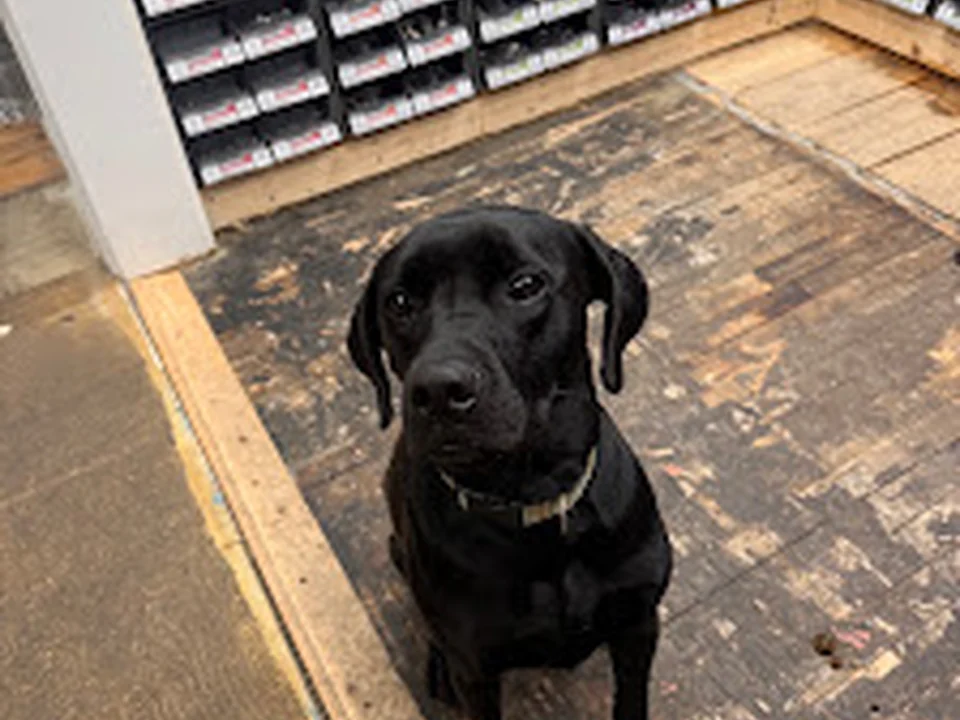 Brookline Hardware