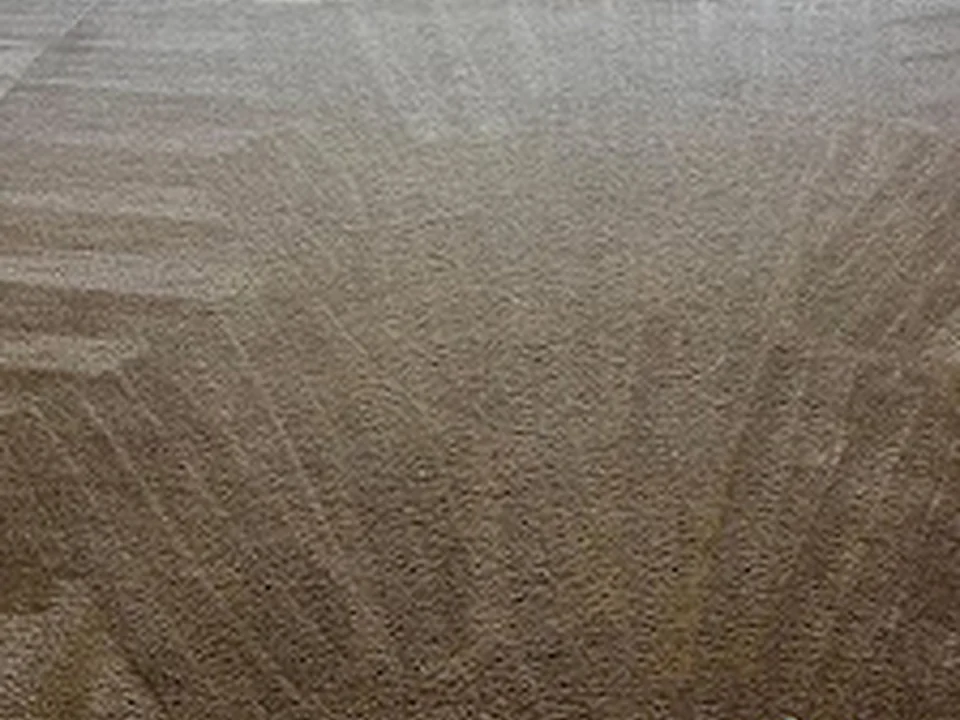 CarpetCare of New England