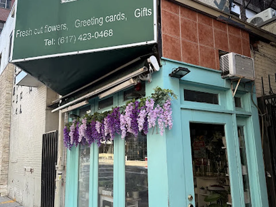 Chaba Florists