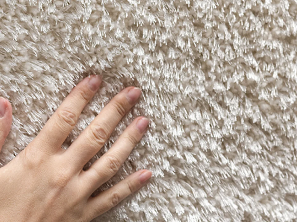 Choice Boston Carpet Care