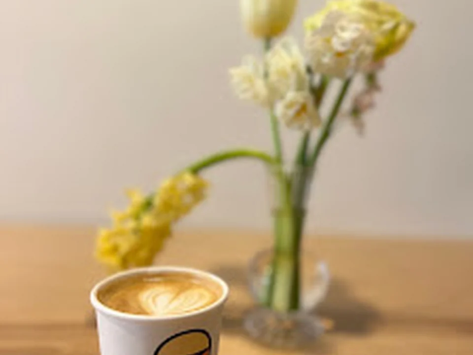 Cloudae Coffee | Specialty Coffee Catering Boston