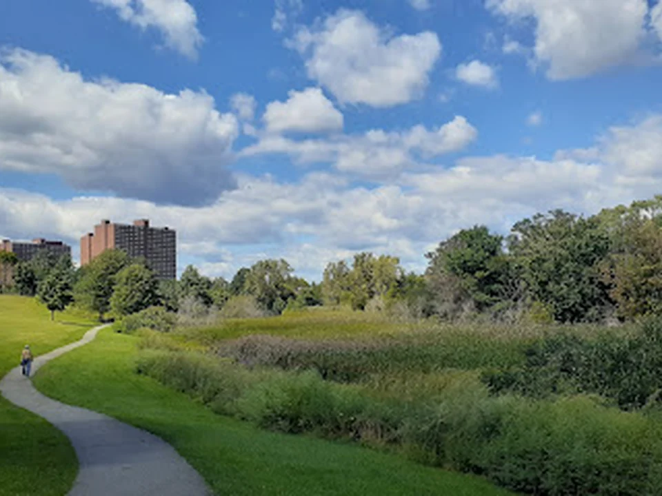 Danehy Park