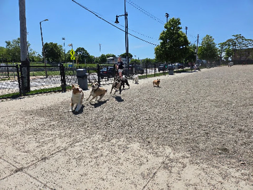 East 1st Dog Park