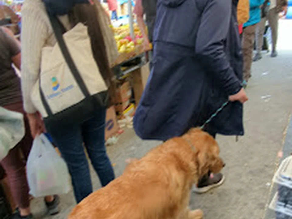 Farmers Market
