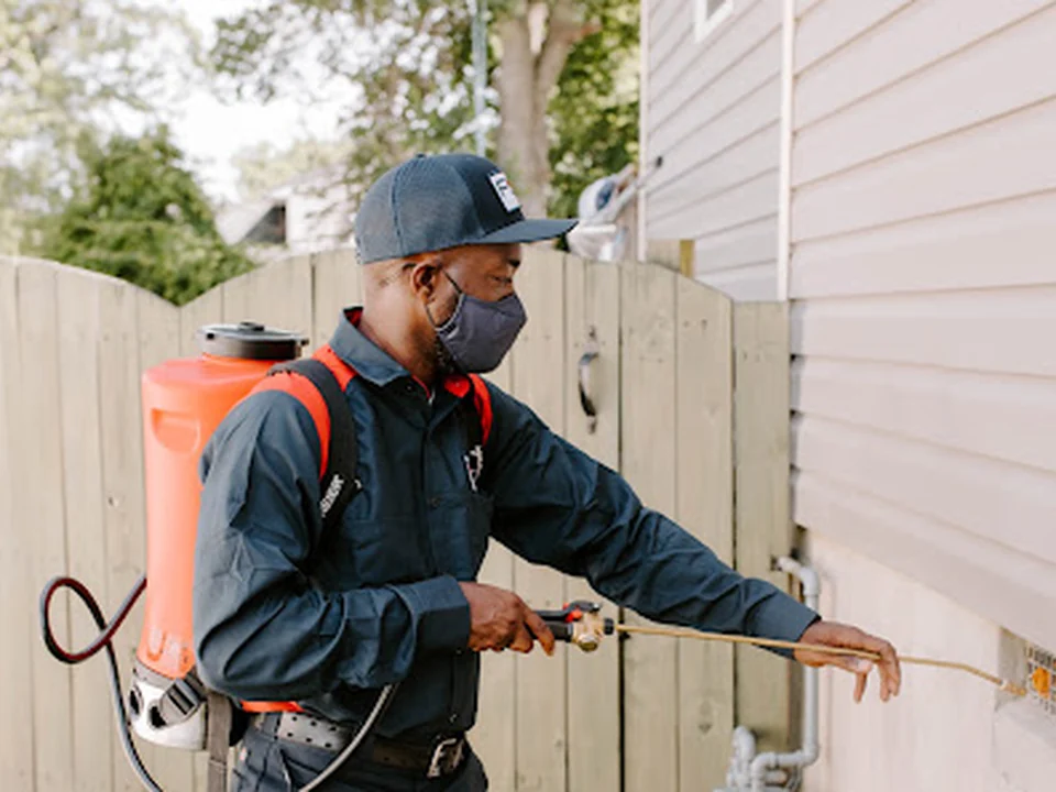Fox Pest Control Acton