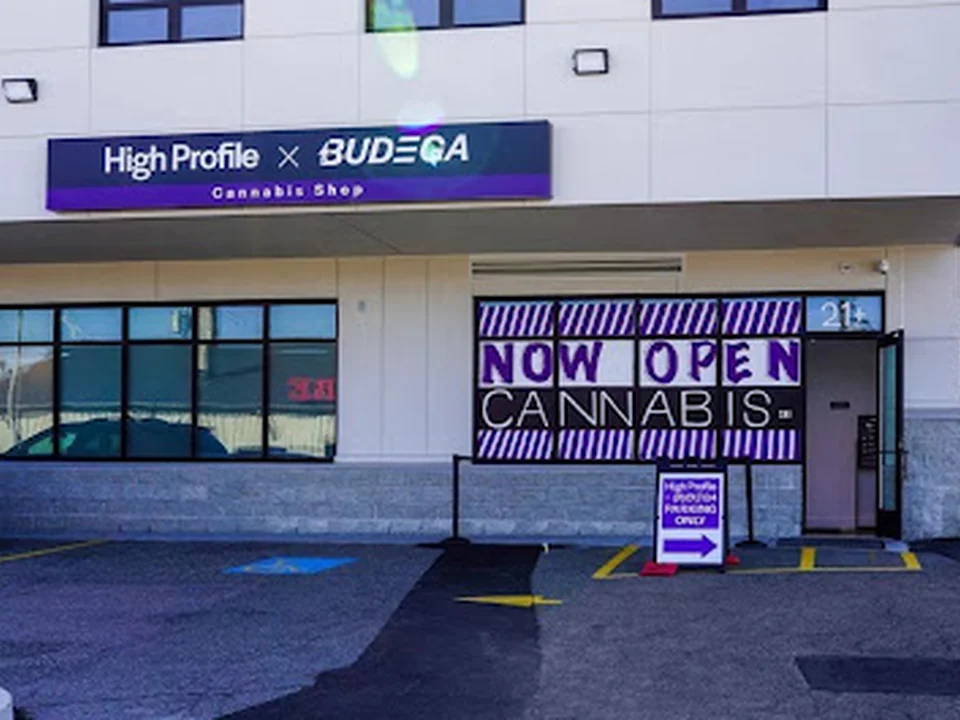 High Profile X Budega of Boston Dispensary