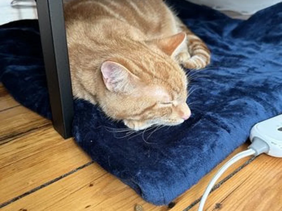 House Call Cat Grooming & Spa L.L.C.