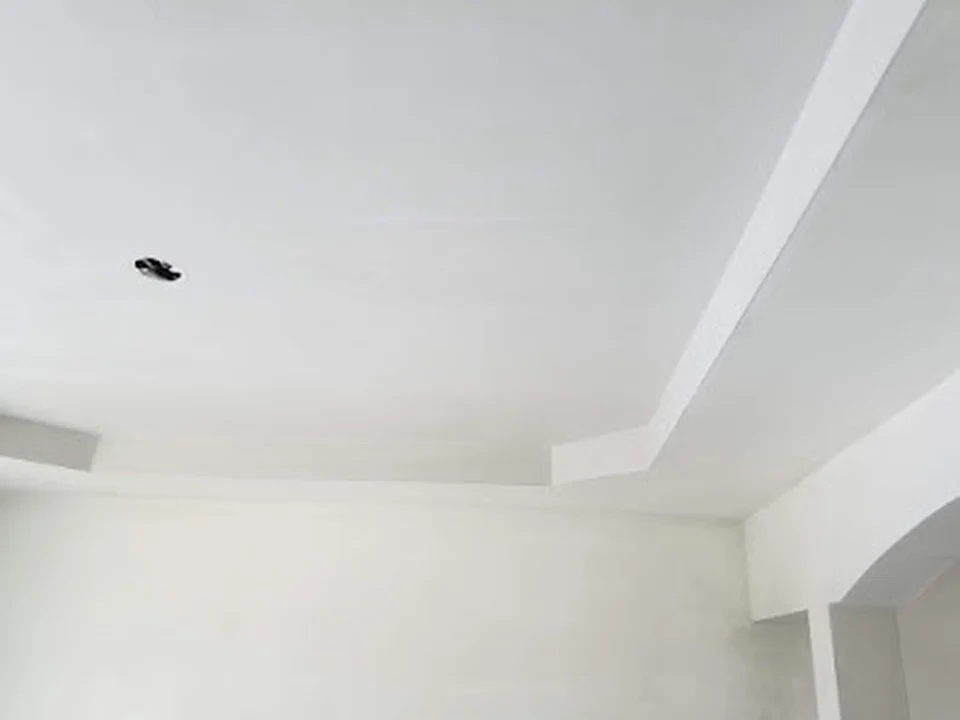 Lewis Drywall & Plaster