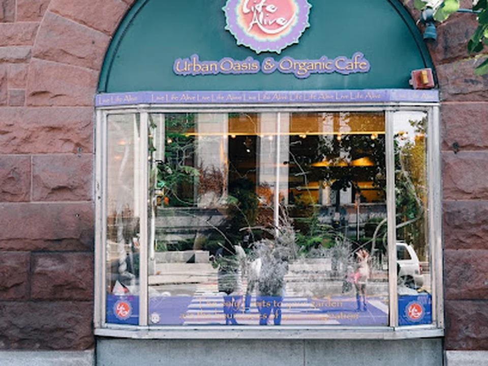 Life Alive Organic Cafe Central Square