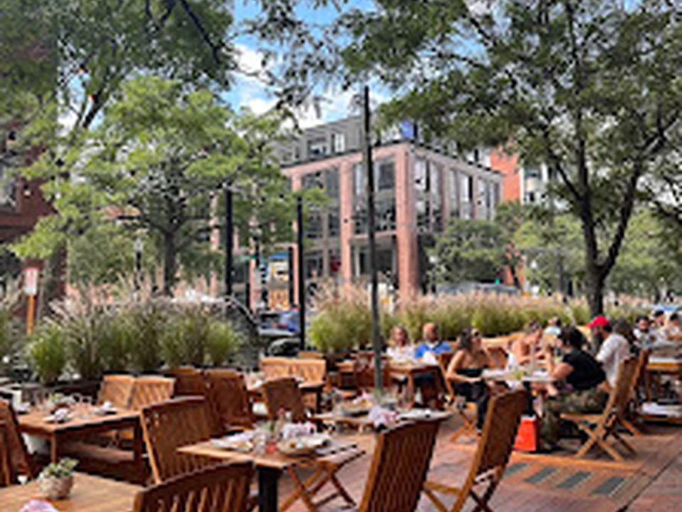 Lolita Back Bay