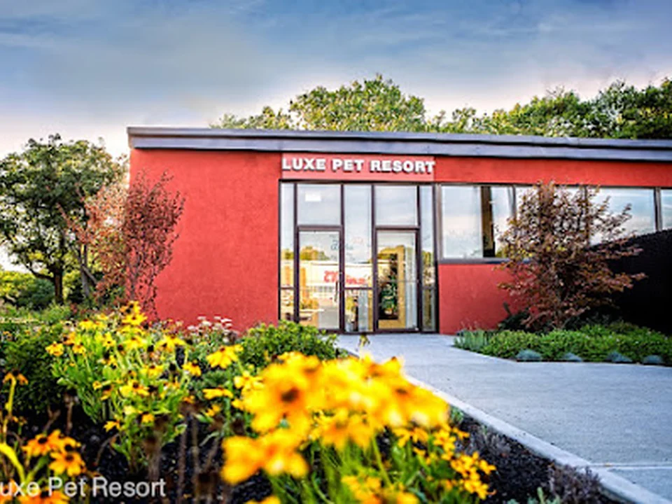 Luxe Pet Resort