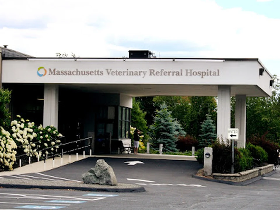 Massachusetts Veterinary Referral Hospital