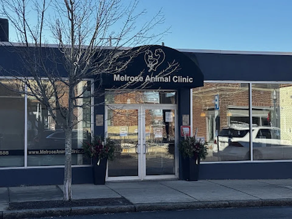 Melrose Animal Clinic
