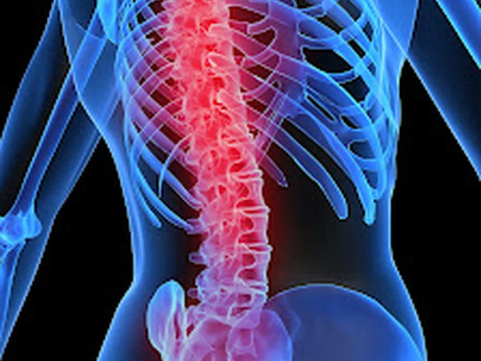 Ortho Sport & Spine Physicians