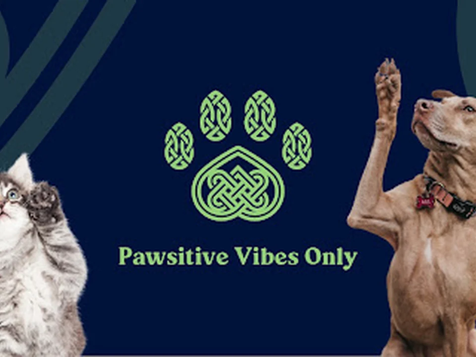 Pawsitive Dawg Walking and Pet Sitting, LLC