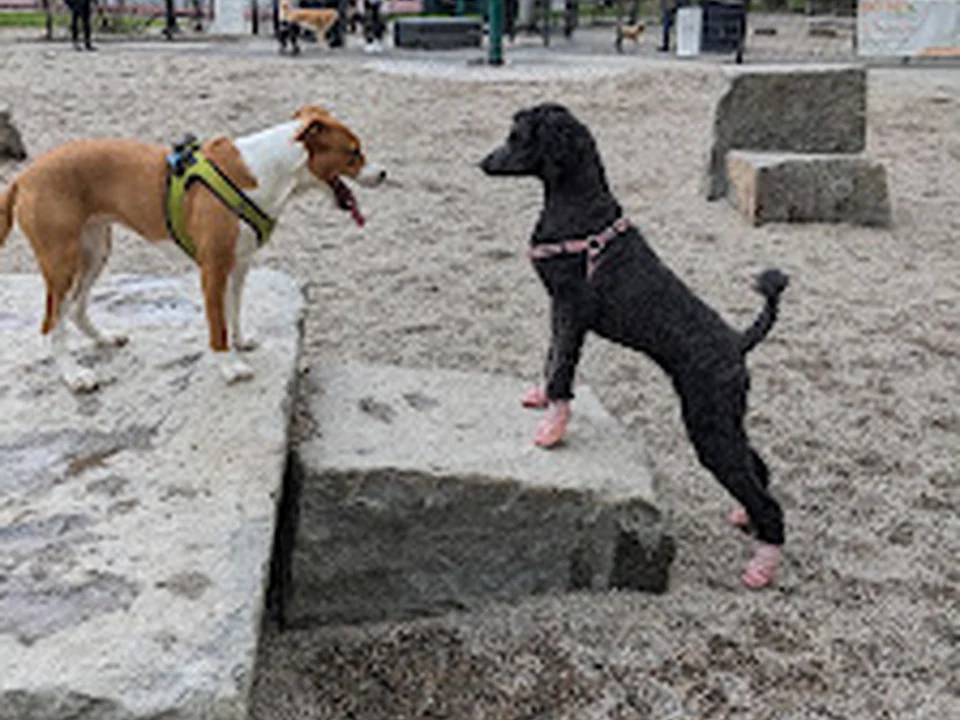 Peters Park Dog Park