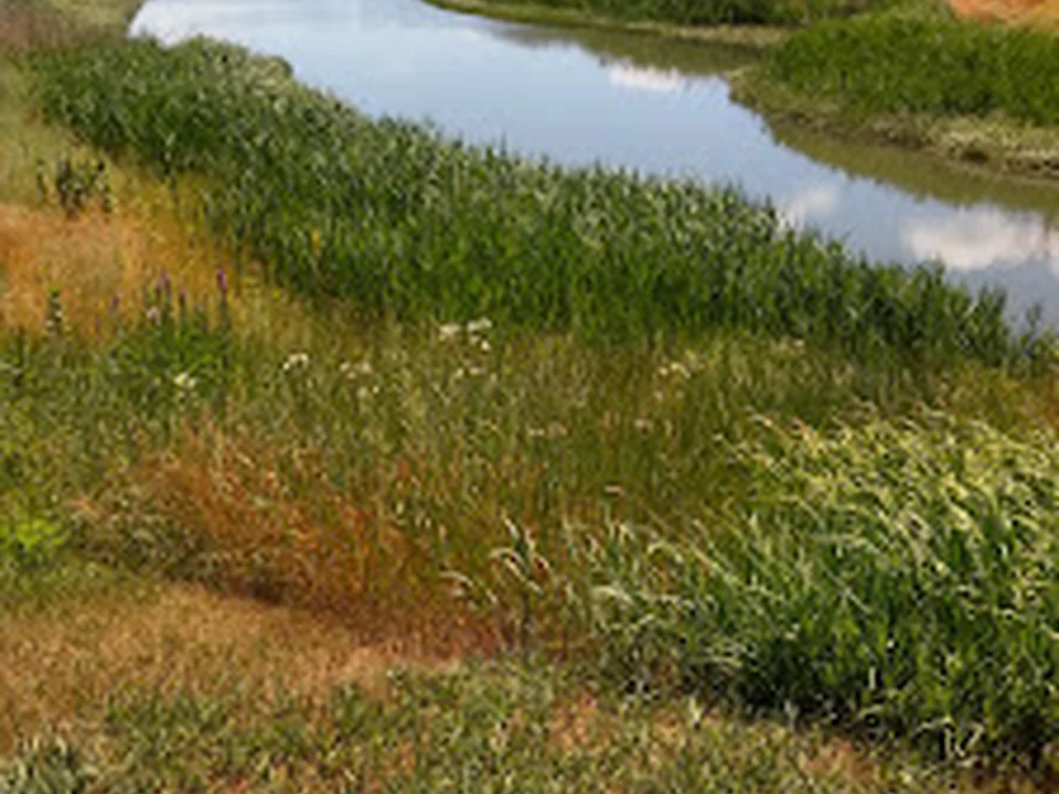Pope John Paul II Park, Boston