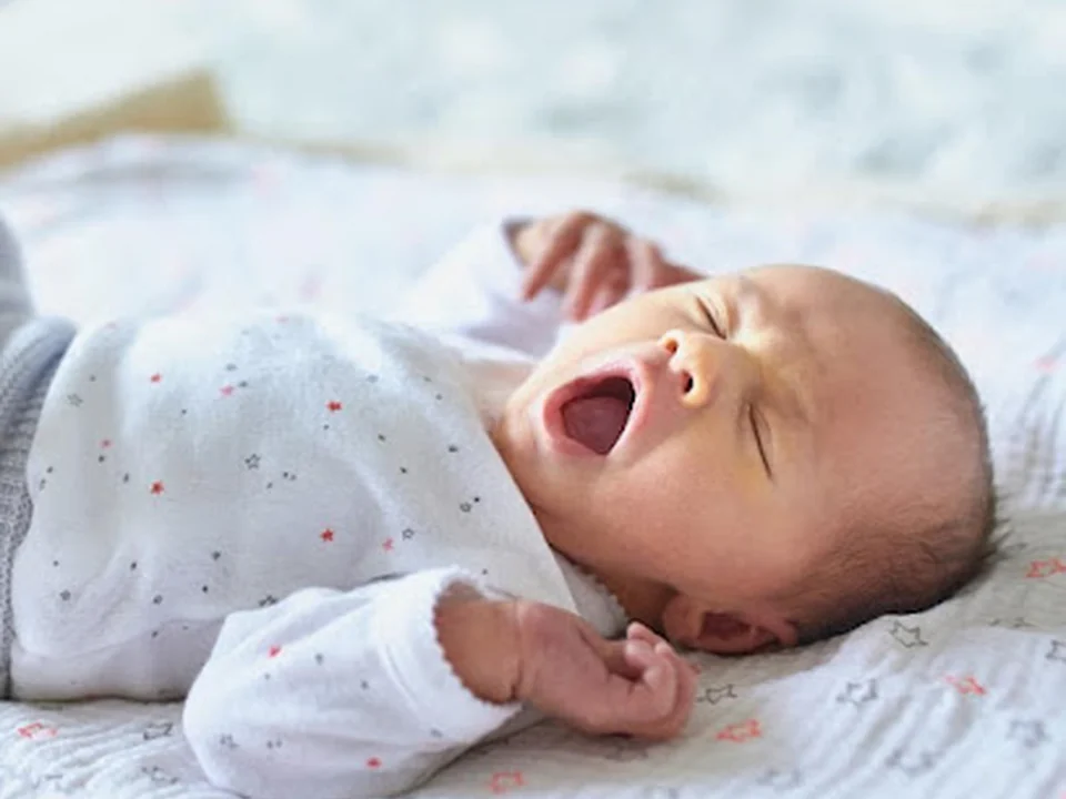 Premier Nanny Agency