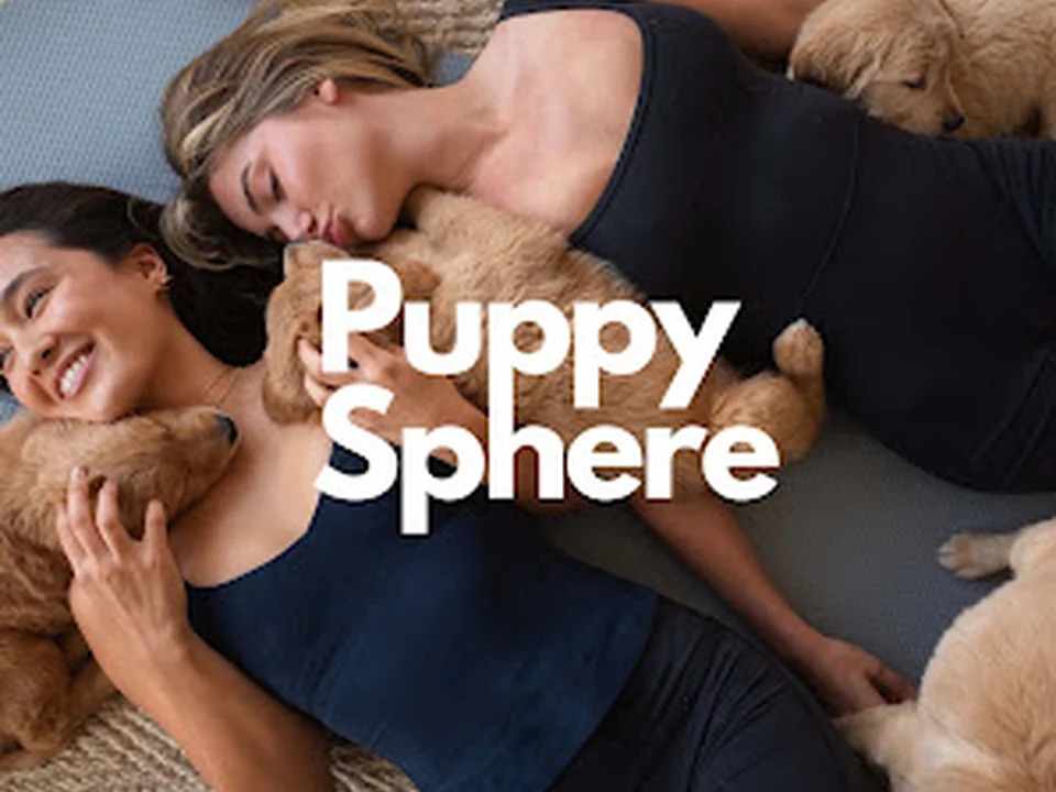 Puppy Sphere | Puppy Yoga (Boston)