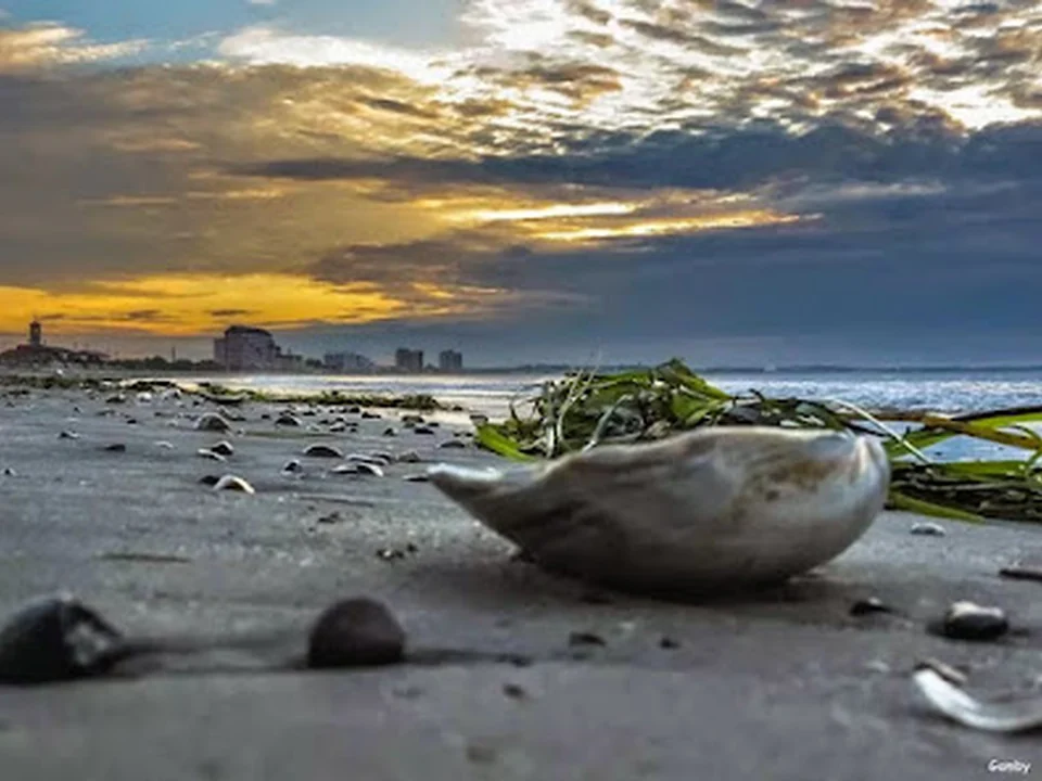 Revere Beach
