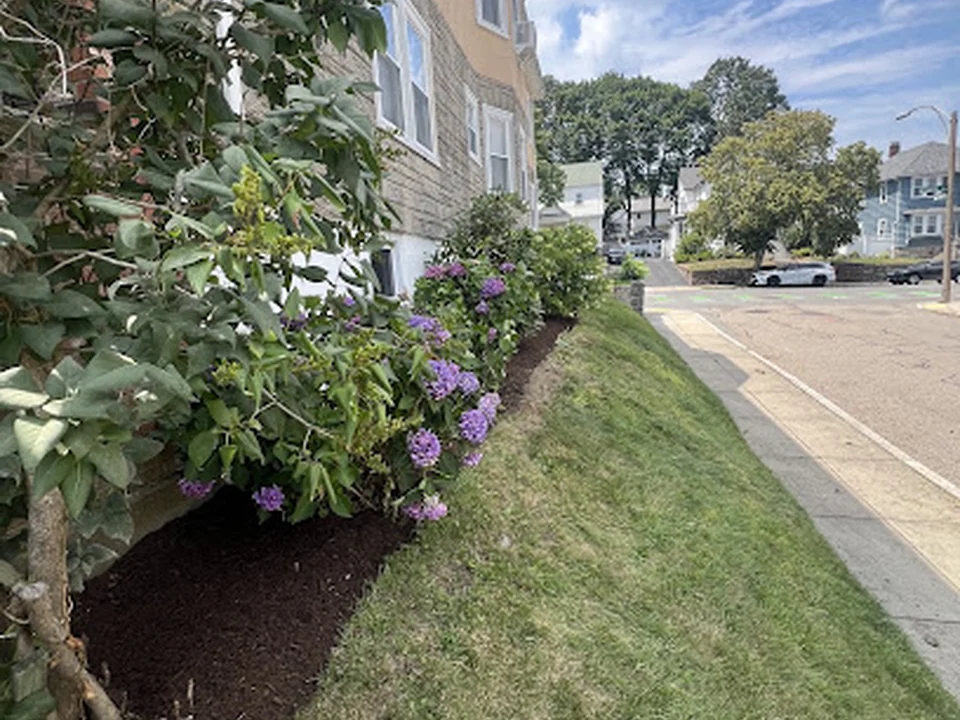 Riddle landscaping