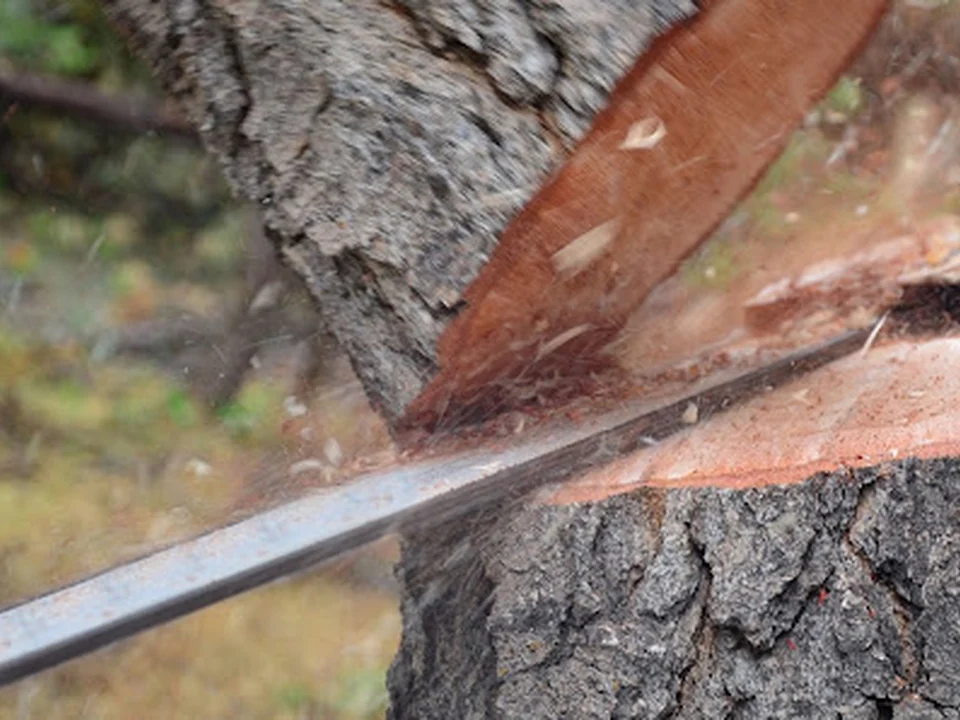 S J Tree Landscaping and Snow Removal Corp