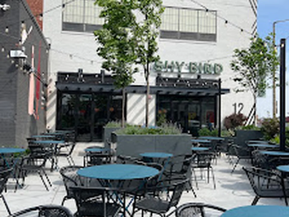 Shy Bird - South Boston