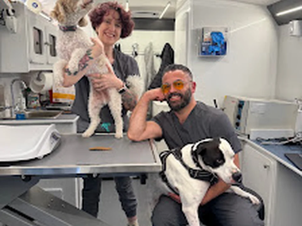 Tandem Veterinary Clinic - East Boston