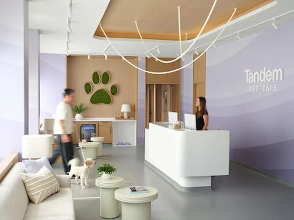 Tandem Veterinary Clinic - Somerville
