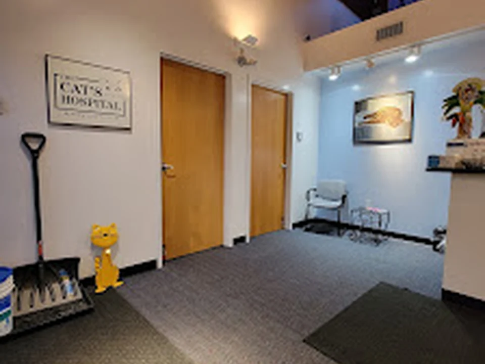The Cat's Hospital, LLC