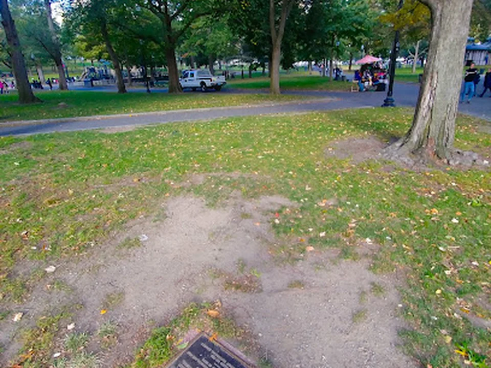 The Great Elm