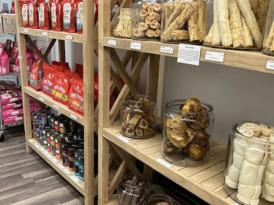 The Lucky Pup