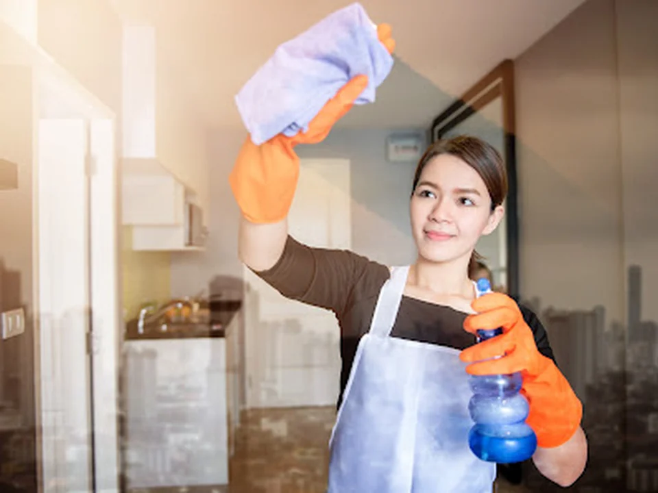 The Nanny Poppins Agency - Nanny & Domestic Staffing Services