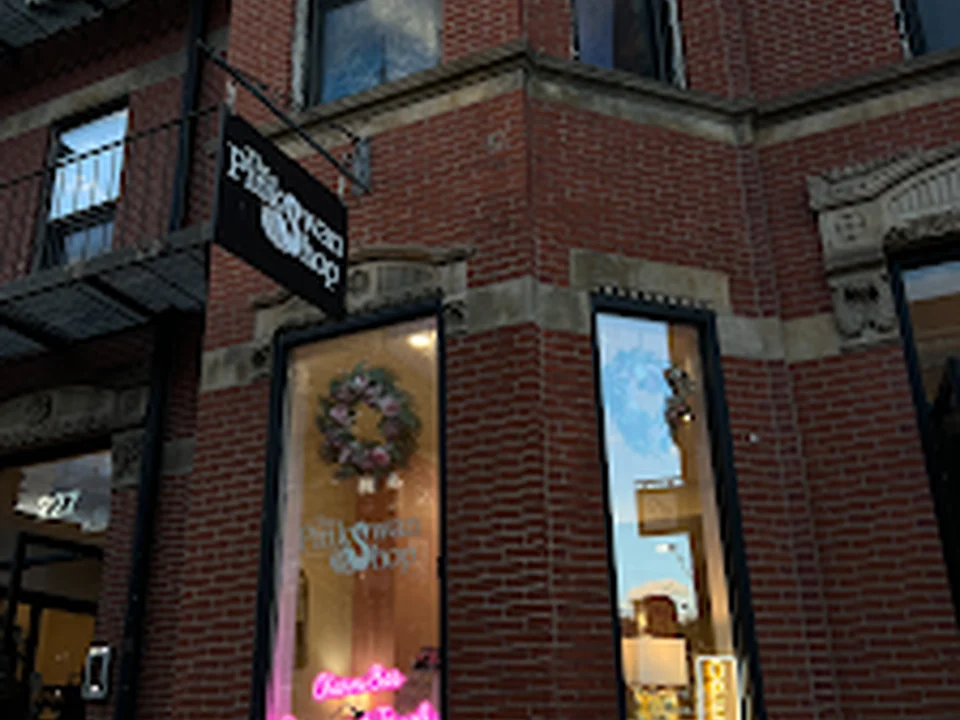 The Pink Swan Shop