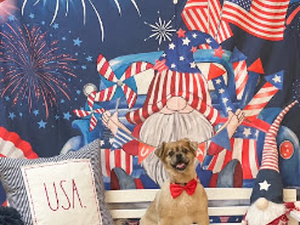 Foto de The Pooch Room