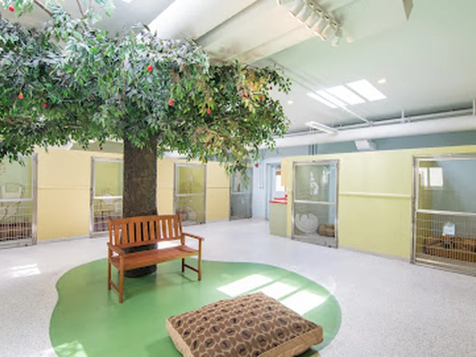 Toureen Pet Resort and Spa