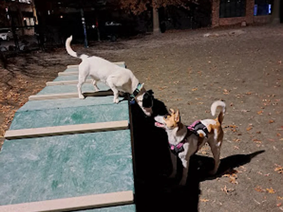 Tudor Dog Park