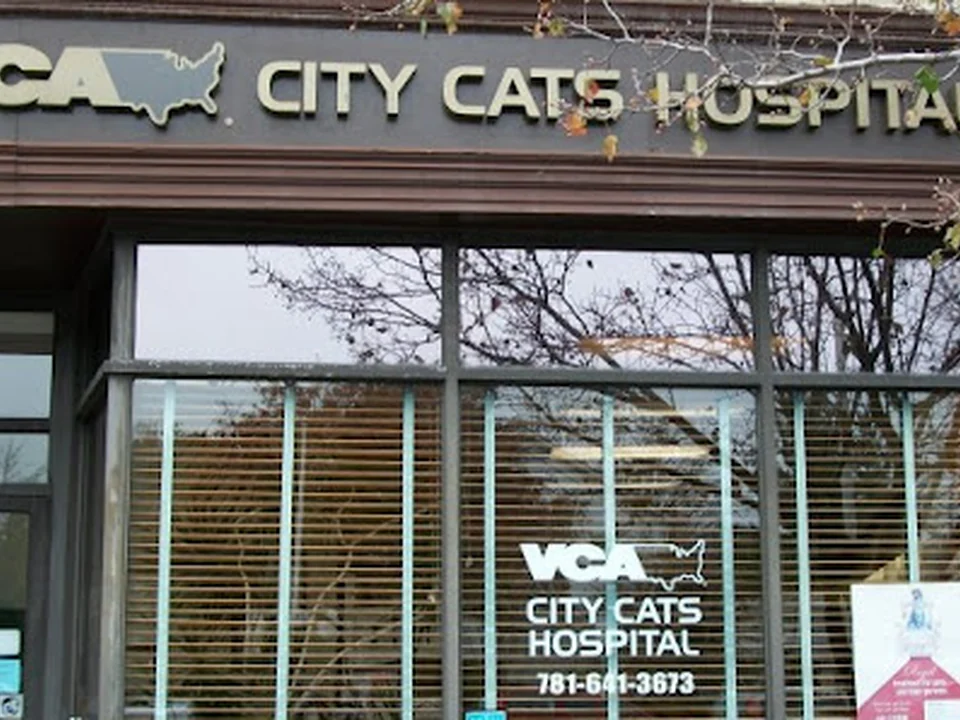 VCA City Cats Hospital