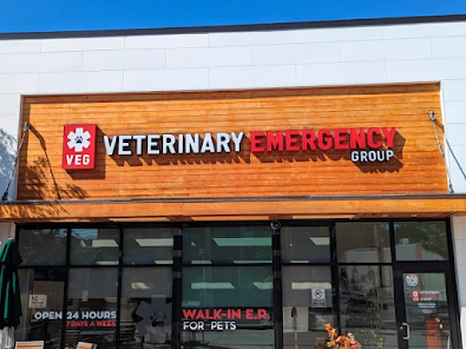 Foto de VEG ER for Pets