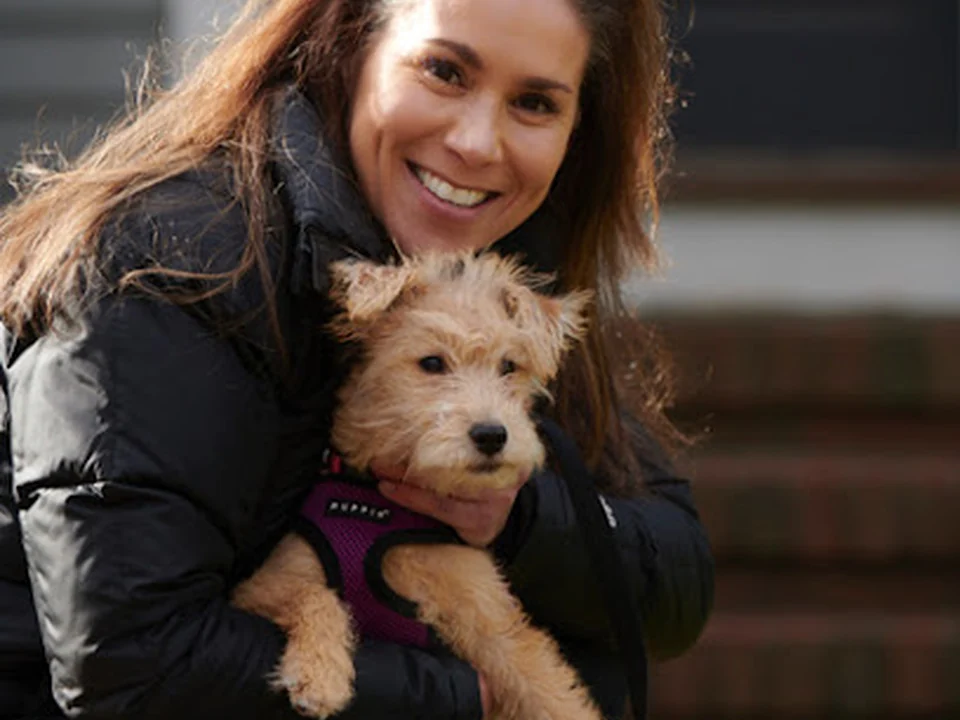 Wags 4 Walks
