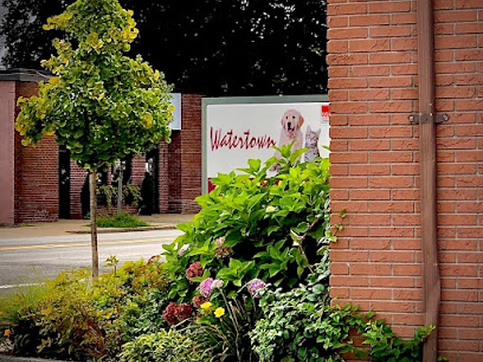 Watertown Animal Hospital